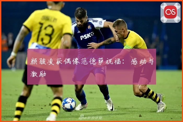 颜骏凌获偶像范德萨祝福：感动与激励