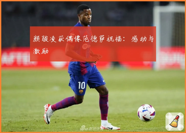 颜骏凌获偶像范德萨祝福：感动与激励